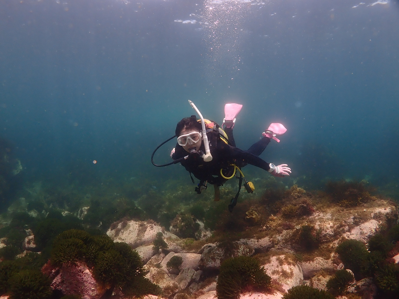 潜水地;志賀島(福岡市東区)