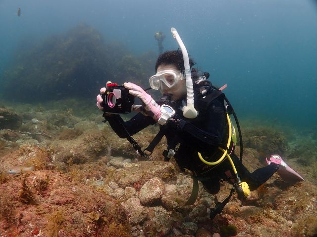 潜水地;志賀島(福岡市東区)