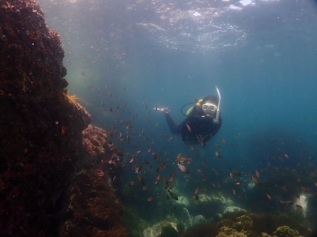 潜水地;志賀島(福岡市東区)
