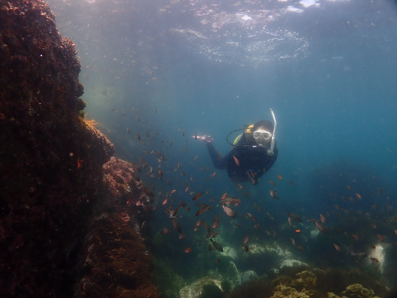 �����n�G�u�꓇�i�����s����j