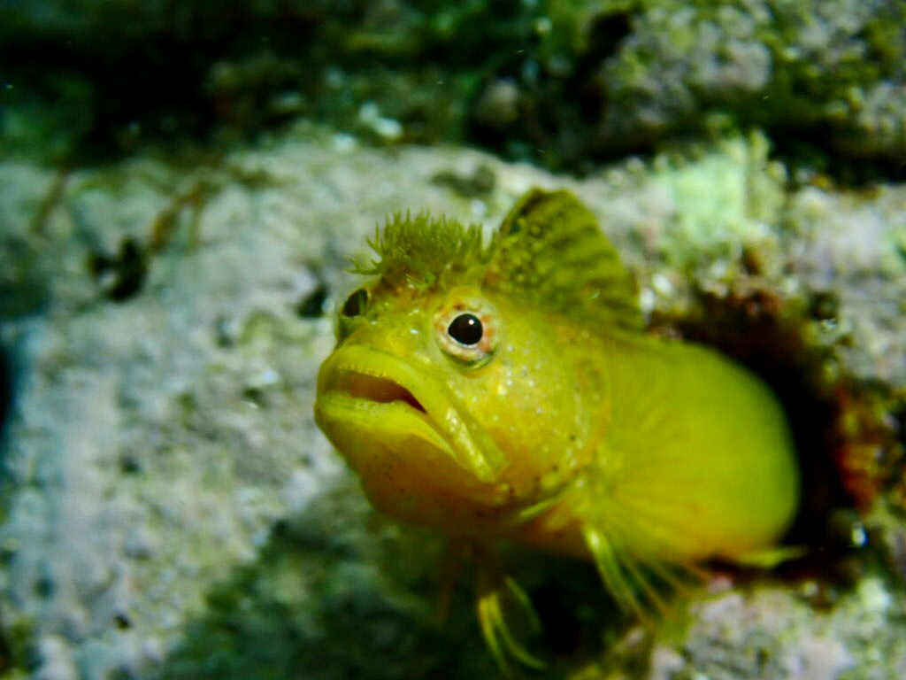 �����n�G���̉Y�i���Îs�j