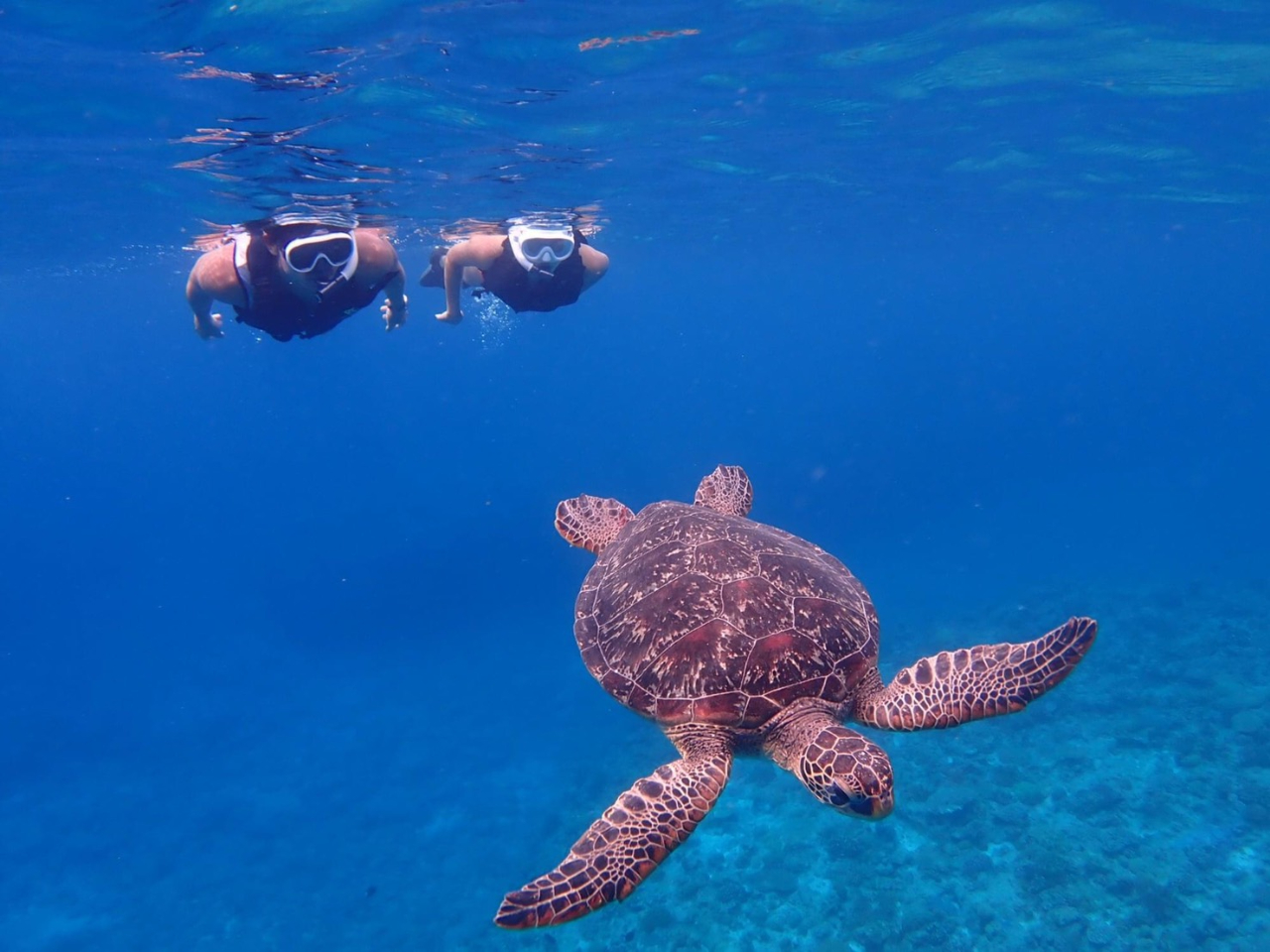 Vm[POłJɉ邩.....