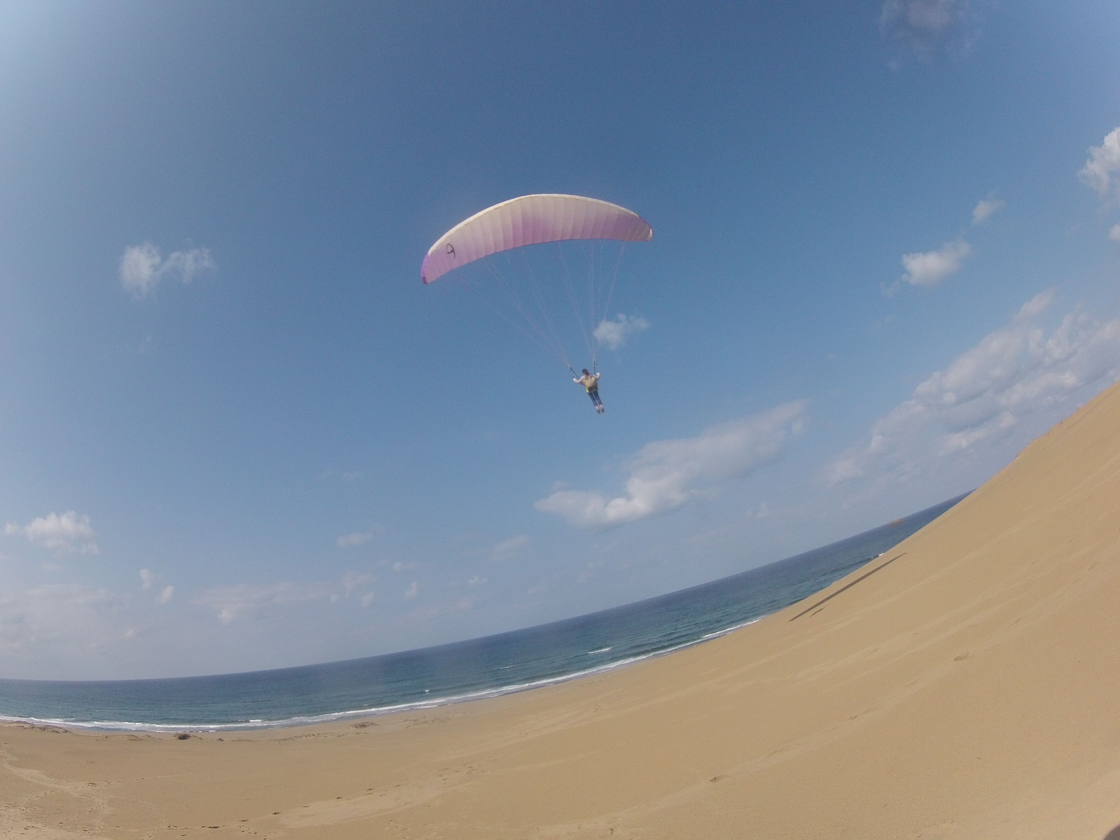 うまく風に乗れるかな?