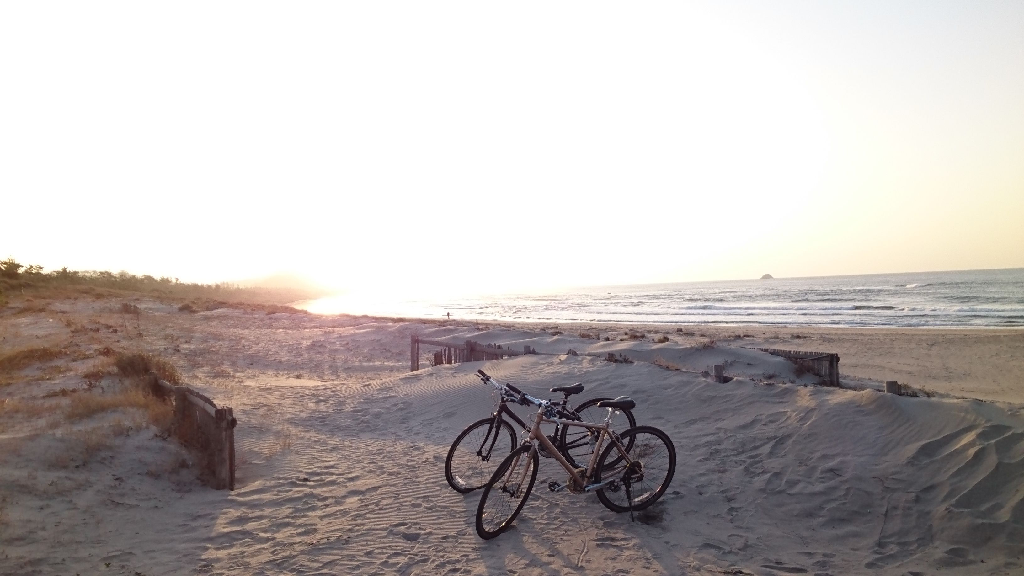 自転車でいくと、鳥取砂丘が思ったよりも広いことがわかるかも