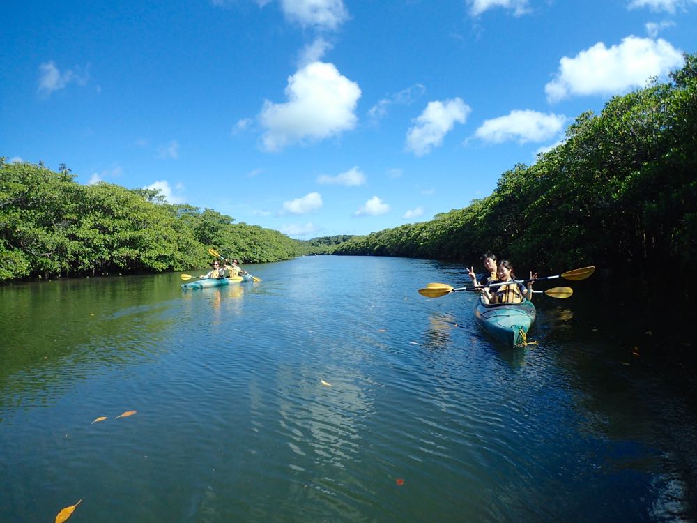 }O[u̐͐󂭗Ȃ̂łƂĂ₷BQ҂̂قƂǂ̓Jk[̌̕Ȃ̂ňSĎQłB