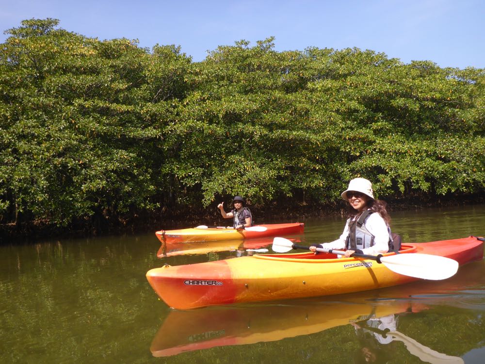 Jk[̌łPlɏ邱ƂoB₷Jk[iJbNjgpĂ̂ŐgCĂ݂ė~B