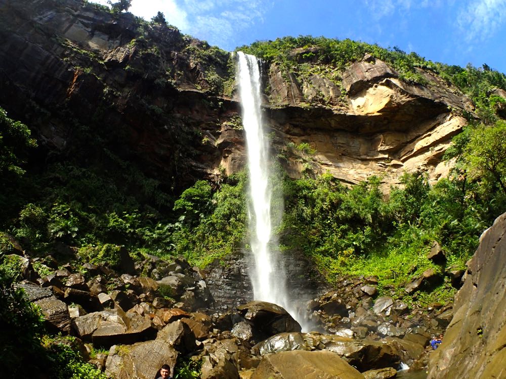 }CiXCIsiCT[̑Bő嗎ւ_Ci~bNȑɉɍsB