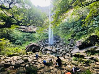 世界自然遺産を参加者50歳以上限定でツアー催行。西表島の希少な植生もじっくり観察、滝時間も落ち着いて過ごす大人の自然体験時間です。