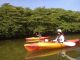 流れのない浅い川を漕ぎます。ちょっと抵抗がある方でも安心して漕げて、景色も素晴らしい?♪
