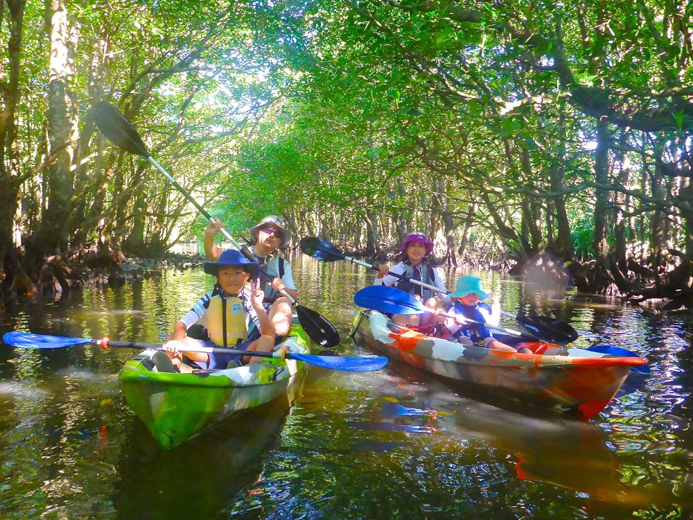 �_��I�ȃ}���O���[�u���