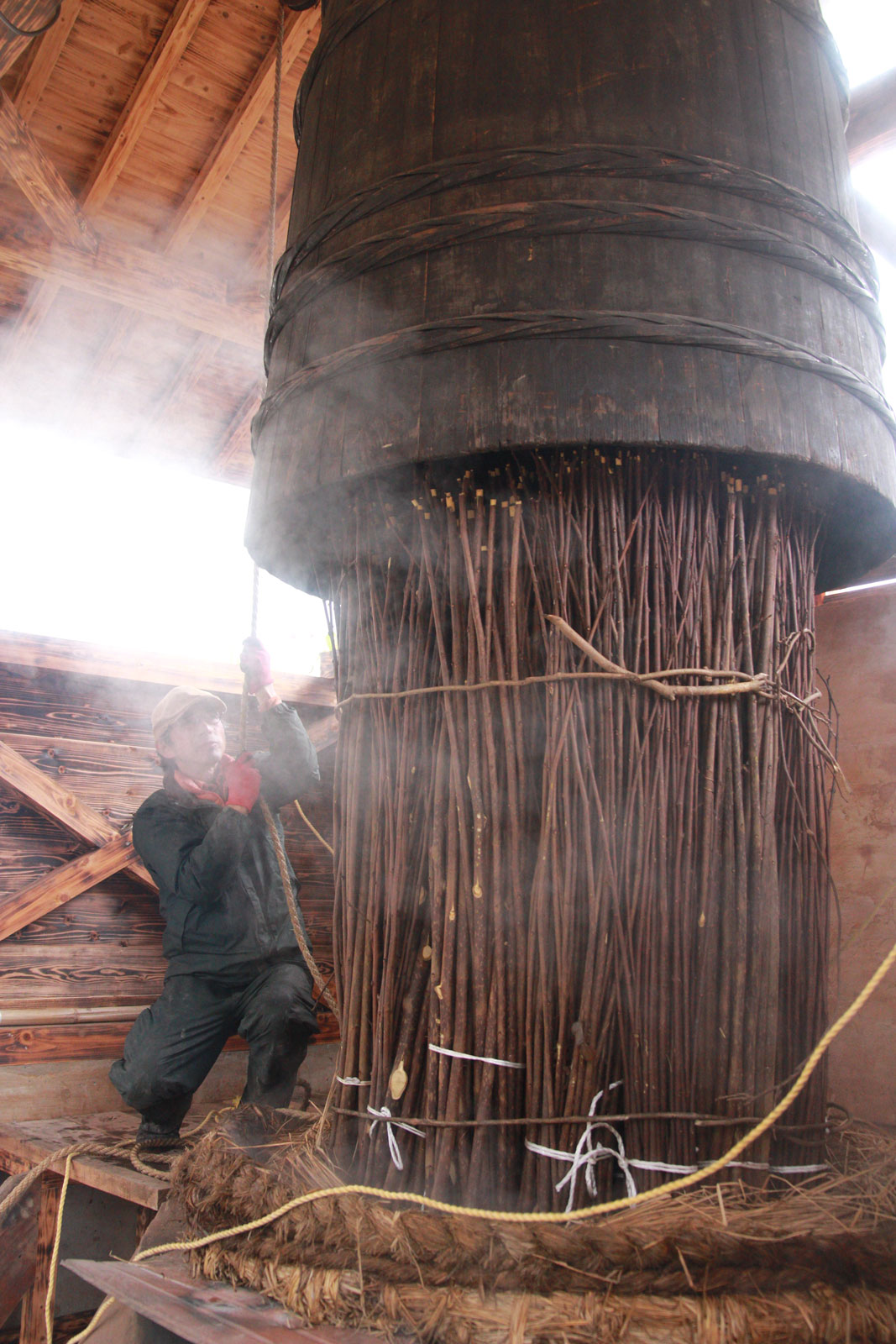 {YɔF肳ꂽuijvwł܂