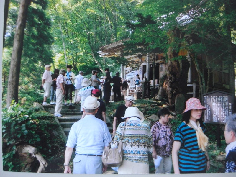 ʐ^̓RiQOɎBeʐ^ƂȂ܂B