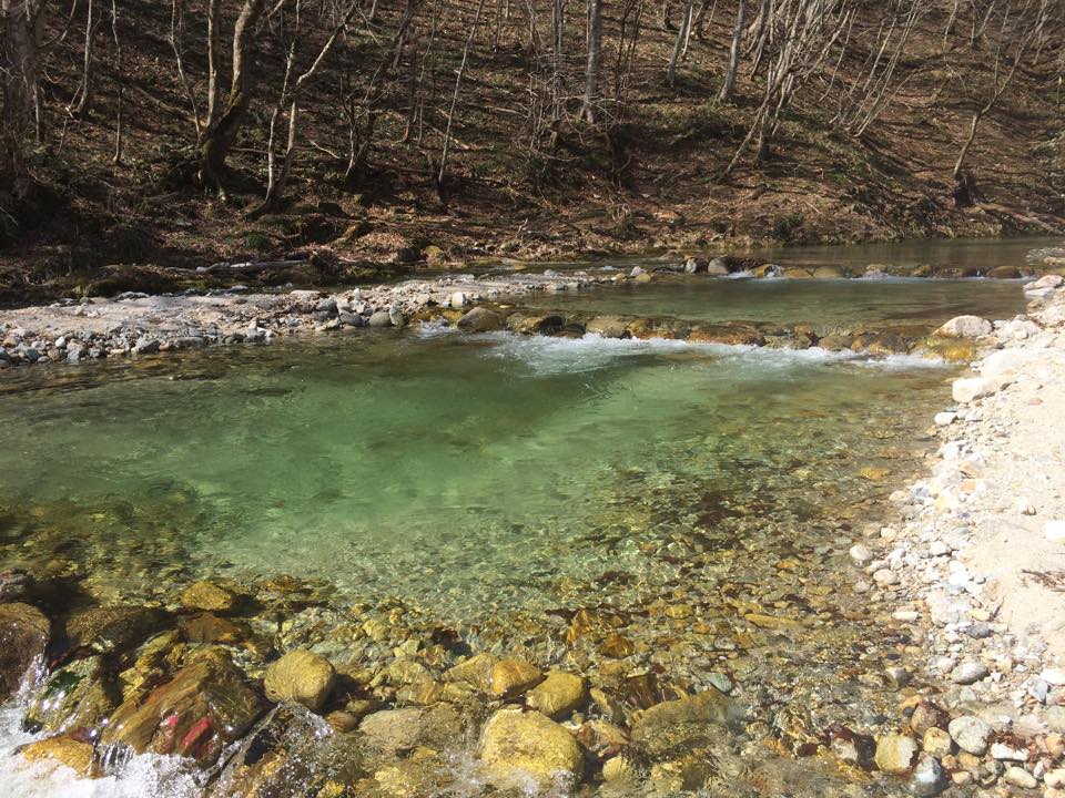 S800̎Rȗ̐R΂𗘗pċ؂ꂽXy[X̒Œނyݒ܂