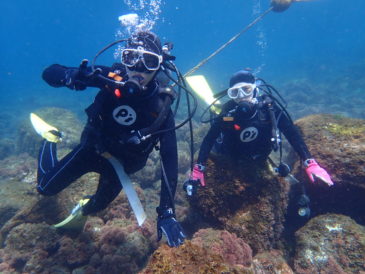 初めてのダイビング、それは青い惑星への第一歩