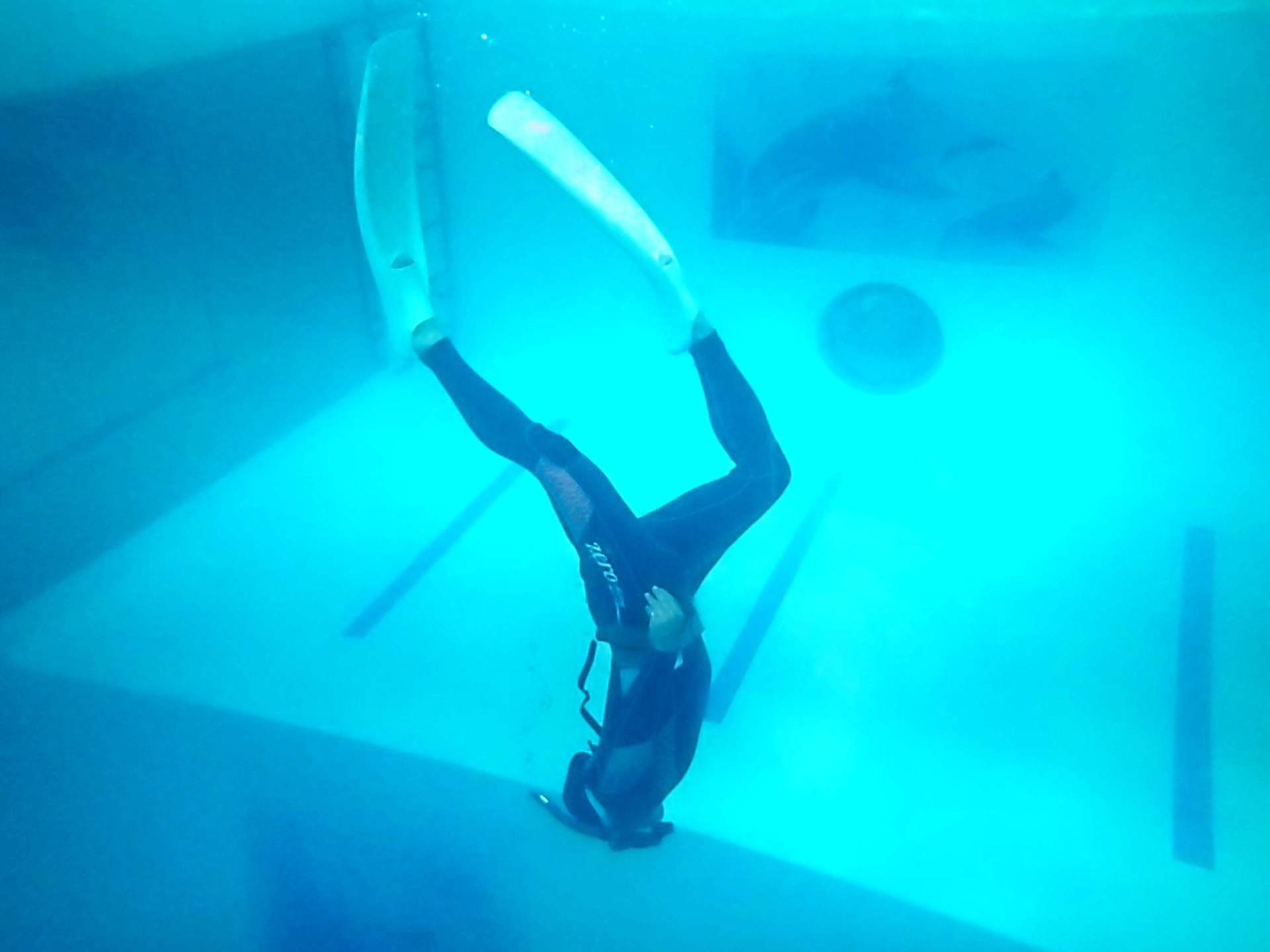 初心者の方から経験のある方まで、それぞれのレベルに合わせたプライベートレッスンで、スキルアップを目指しましょう!