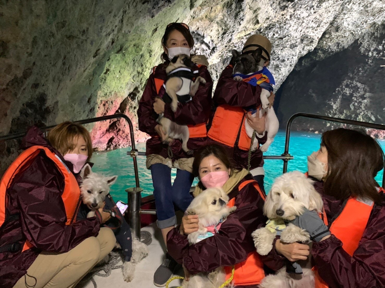 �����̓������\�ł��I���񂲈ꏏ�ɂ��y���݉�������