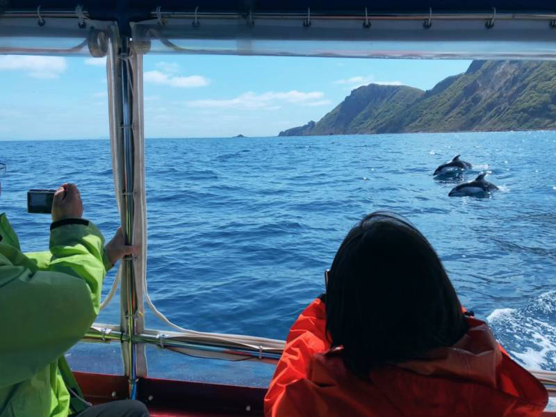 �^���ǂ���΁A�C���J�ɂ��o��邩���I�H