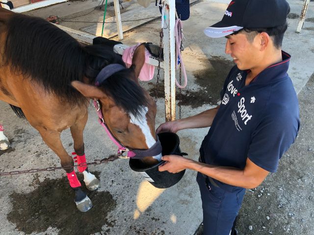 体験終了後にお馬さんに感謝の気持ちを込めてお水を飲ませてあげましょう。