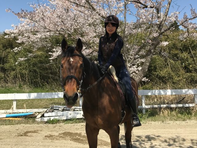 四季の草木も楽しめます