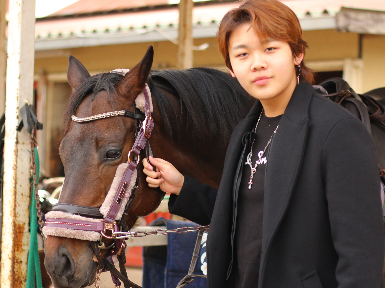 �����n�B�ƋL�O�B�e