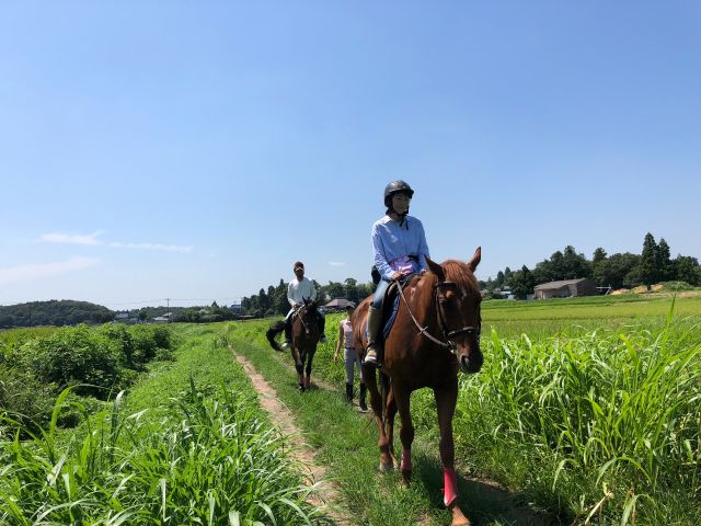 お天気のいい日は外乗日和!可愛い馬達に癒されましょう