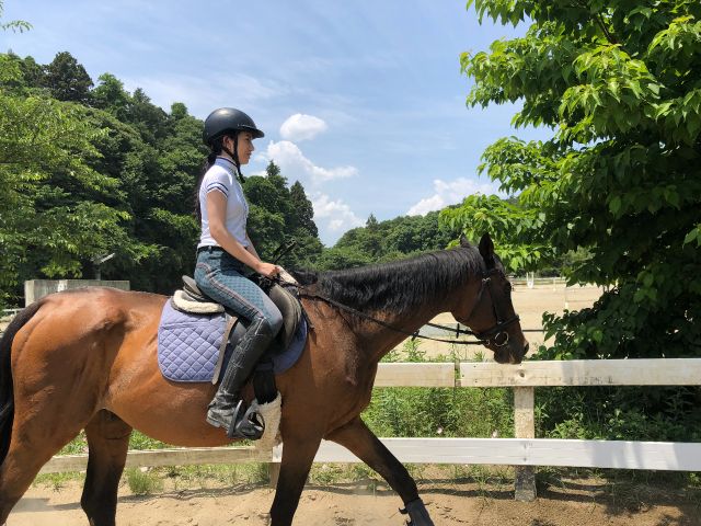 お馬さんに乗って体験開始。まずは乗り方の基礎を教わります