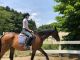 お馬さんに乗って体験開始。まずは乗り方の基礎を教わります