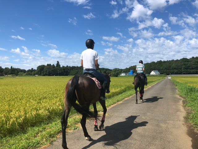 慣れてきたところで次は外乗に行きます
