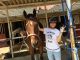 最後は可愛い馬達と心行くまで写真撮影