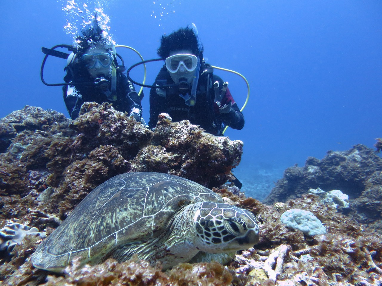 青の洞窟らくちんボート体験ダイビング【8歳から60歳以上参加可能少