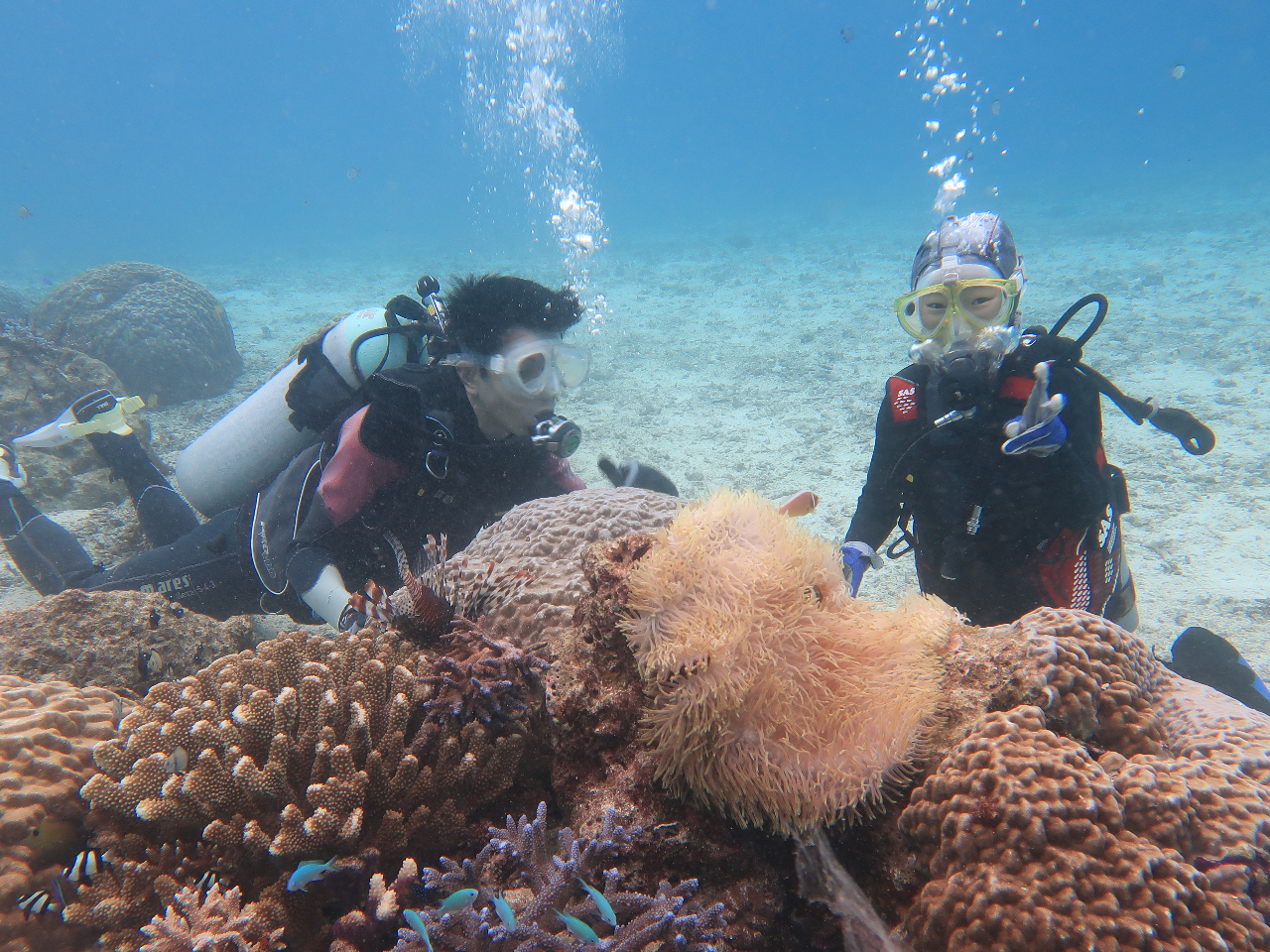 青の洞窟らくちんボート体験ダイビング【8歳から60歳以上参加可能少