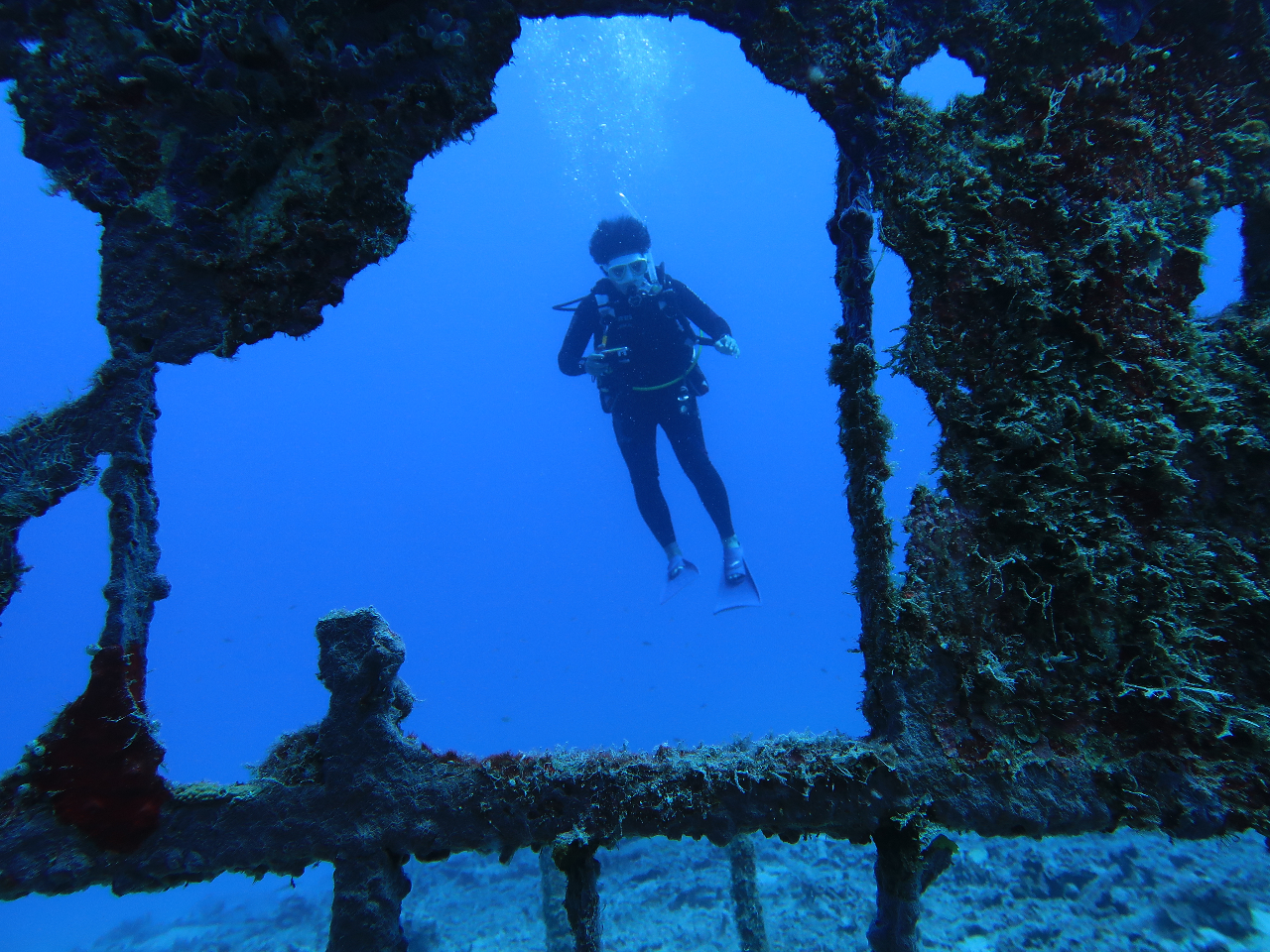 fwޏɒւx̎BeŎgꂽs@I