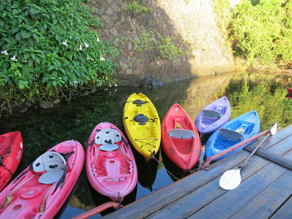 世界自然遺産の屋久島の大自然を体感!さわやかな風の中、安房川でリバーカヤック♪