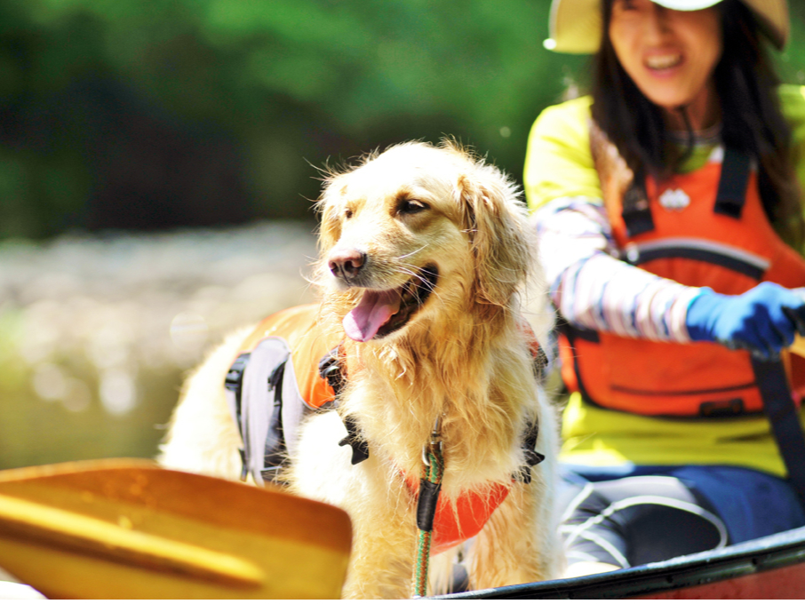 ��񂿂��V���b�g�p�[�g2�I