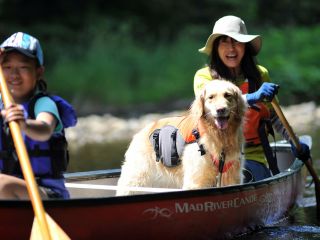 わんちゃんもご一緒にカヌーツーリングをお楽しみいただけます!
専用のライフジャケットも無料で貸出OK!
