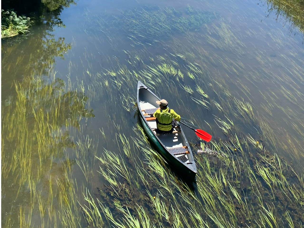 �����̒����A������蕗�ɐ�����Ȃ���i��ōs���܂��B���΂������Y��āA�厩�R�𖞋i�I