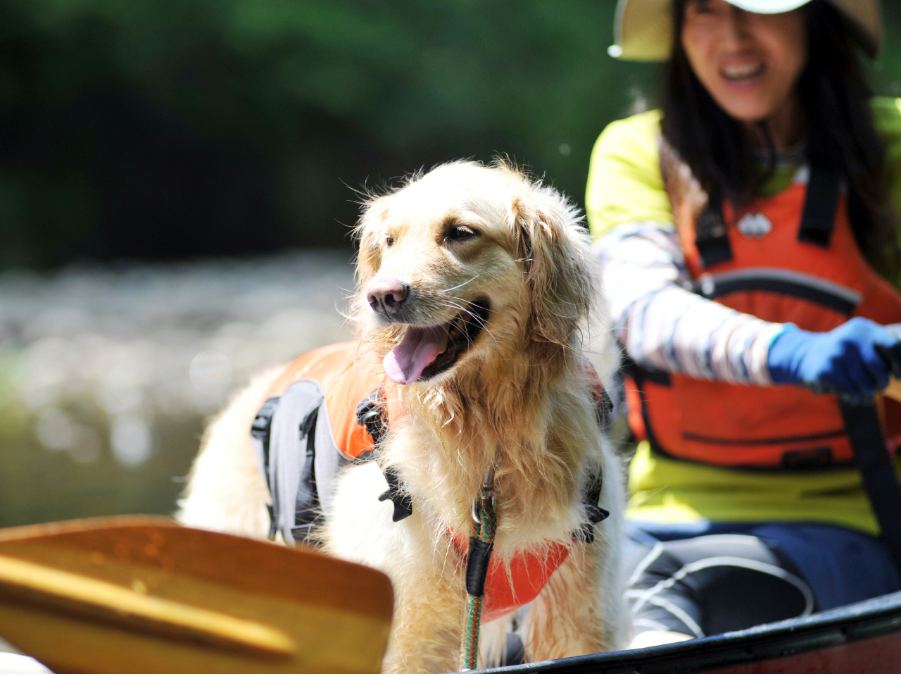 ワンちゃんとも時間を共有できる!