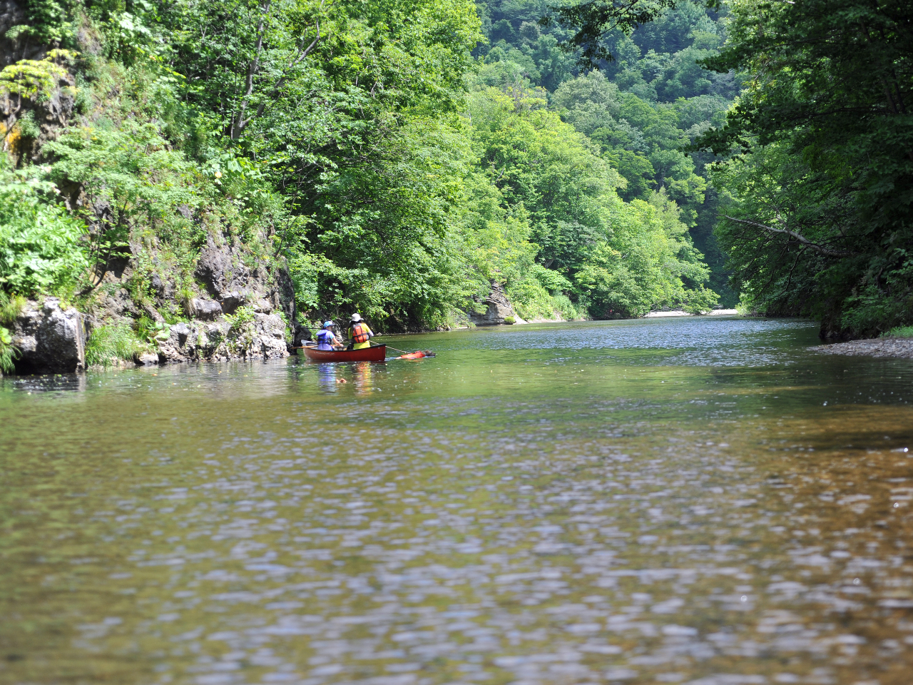札幌市内にいるとは思えない豊かな自然