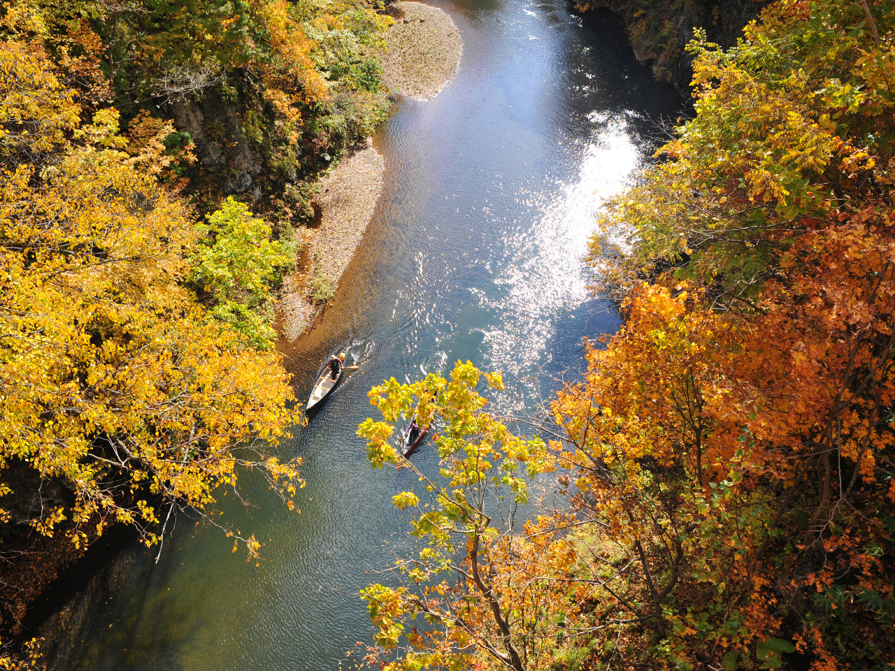 Rk̍gt猩グcJk[Ȃł͂̓ʂȑ̌