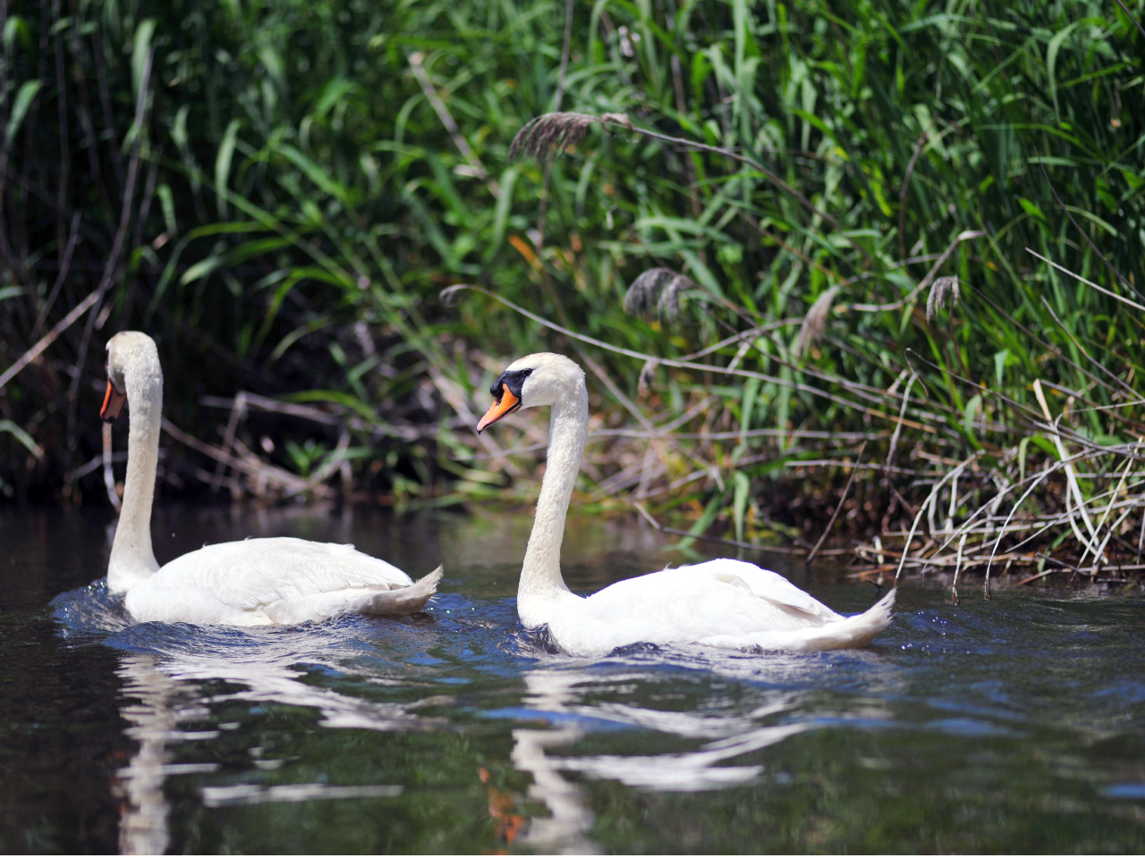 �n�N�`���E�Ȃǐ��ӂɕ�炷�������ɏo�����邩��