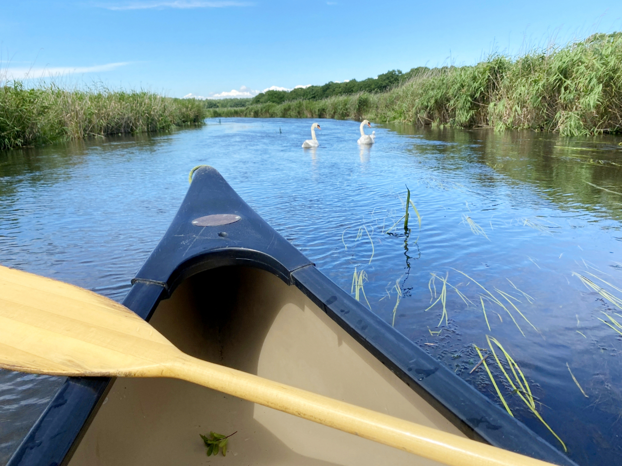 �O���͋󂪑傫���L�����������ӂ��R�[�X