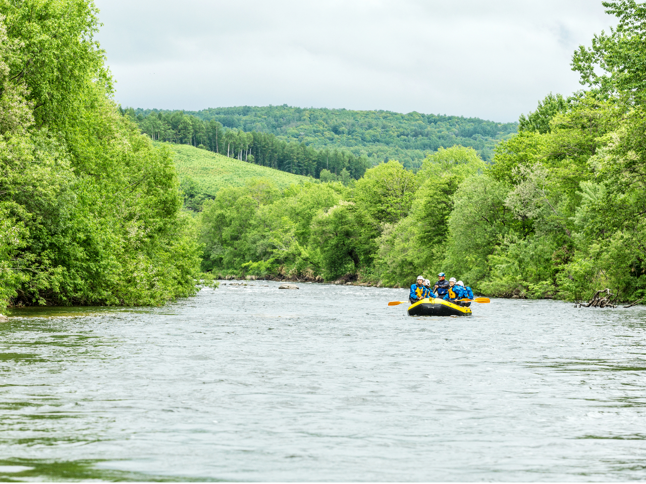 �D�y�s���Ƃ͎v���Ȃ��厩�R�ɕ�܂��