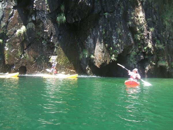 カヌーができる屋久島の川はとても流れが緩やかで(反対に山にある川は落差があります)魚を見ることもでき、リラックスにオススメ。ガイドが「V字渓谷」と呼ばれる、河の両脇に茂る照葉樹林の解説もします。