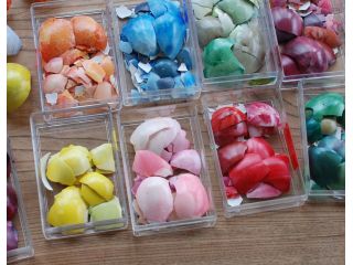 卵殻 陶器 卵の殻を使用した本格アート体験 陶器のお皿 約15センチ をオシャレな後作品に仕上げよう 料金 大人円 高校生以上が対象 卵殻モザイク研究所 じゃらん遊び体験 卵殻 陶器 卵の殻を使用した本格アート体験 陶器のお皿 約15センチ をオシャレな後作品に仕上げよう 料金 大人円 高校生以上が対象 卵殻モザイク研究所 じゃらん遊び体験