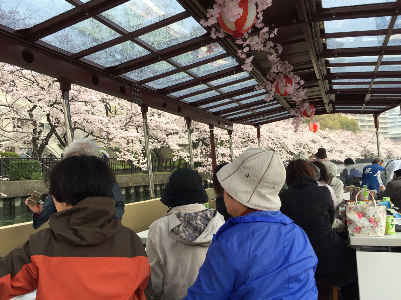 春は大川両岸のソメイヨシノが楽しみ♪桜が咲くのもクルーズも待ち遠しい。