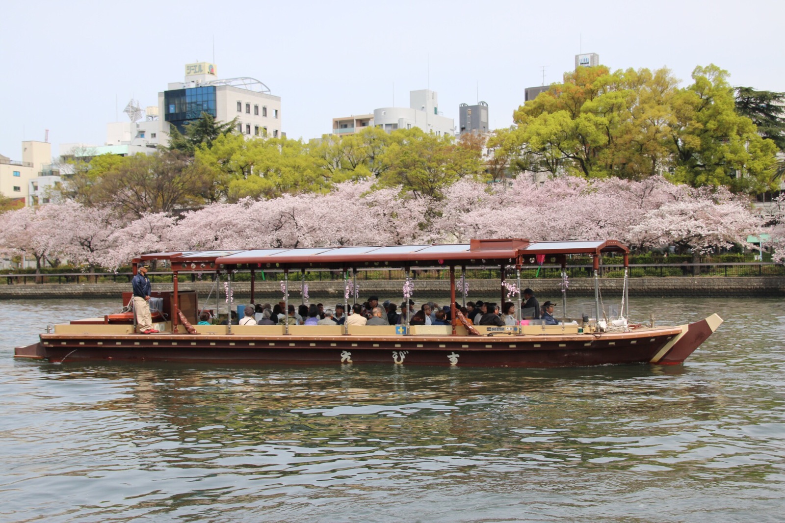 船からゆったり楽しむ桜。混雑知らずで優雅なひととき。