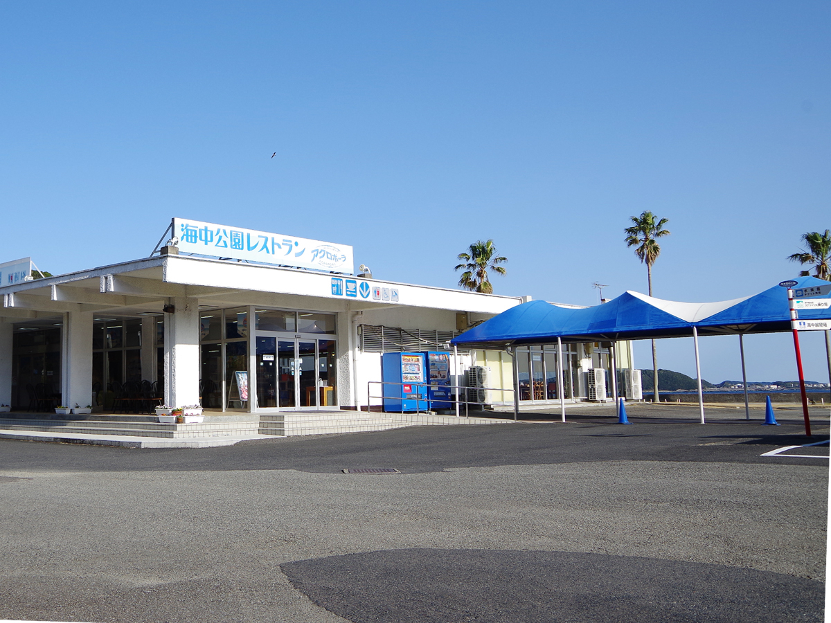 قƂȂ̊CXgB250ȈȏAt@~[^Cv̗ՊCXgłB{̊C𒭂߂Ȃ炨オ肭B