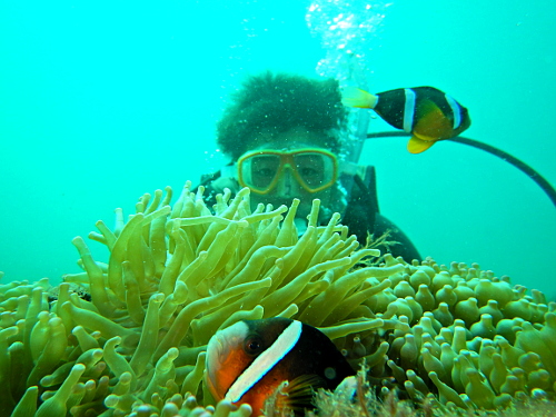 クマノミと一緒に記念写真!