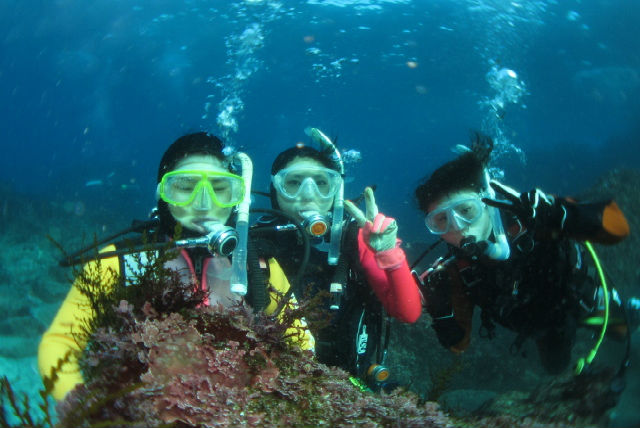 体験ダイバーに付き添い3人で一緒にダイビング中。さて誰がカード取得者でしょう?