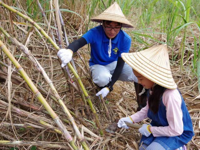 大人から子どもまで楽しめる、おすすめプログラムです!